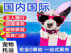 兴凯湖航空托运国际宠物托运 【国